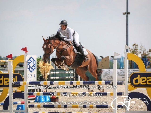 Jaction Breaker RV won the 4 years old qualification Championship of Poland!