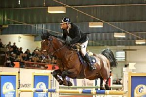 Halfbroer van de grootmoeder van G-star RV is het internationale 1.45m springpaard Varchi (Poor boy) met ruiter Jacob Hellstrom.