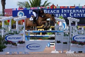 Overgrootmoeder Kalista is grootmoeder van internationaal 1.50m springpaard Zhum CW (Querlybet hero) met ruiter Mc Lain Ward.