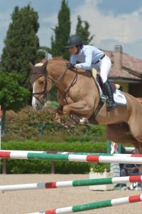 Overgrootmoeder Kalista is grootmoeder van Bonne Chance CW (Baloubet du Rouet) internationaal CSI*** 1.45m springpaard met amazone Jannika Sprunger.