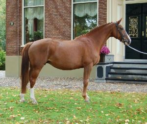 Grootmoeder Tabitha.