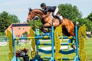 Halfsister Nienke RV brought the CSI** 1.45m horse Champion de Quidam RV (Quidam de revel x Emilion) with amazon Maureen Bonder.