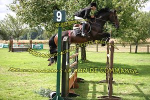 Halfsister Oase RV brought the AES approved stallion and international 1.40m horse Whisper RV (Heartbreaker x Indoctro) with the French amazon Marion Amandine.