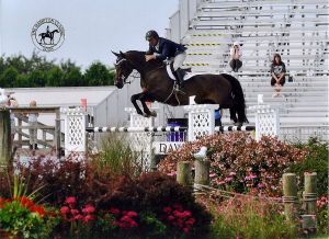 Halfzus Toscane RV (Cavalier x Emilion) Grand prix springpaard met ruiter Darragh Kerins, Eigenaar Double H farms.