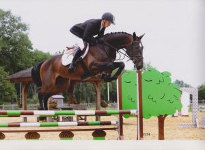 Half brother Balance RV (alias Balans RV, Cardento x Emilion) jumps CSI*** 1.40m with the German rider Gilbert B&ouml;ckmann.
