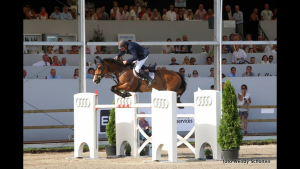 Abra kadabra (Angel RV, Vancouver x Calvados) won several big prices with rider Alber Zoer.