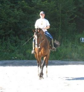 Picasso RV (Jimtown x Kafu XX) International dressage horse with amazon Daniela Stanic.