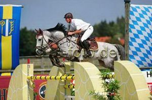 Uberlino RV (Cavalier x Amethist) International 1.35m horse with rider Sönke Kohrock.