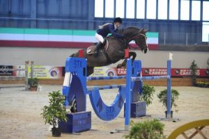 Silverstone RV (Voltaire x Jus de Pomme) jumping international 1.45m classes with amazon Francesca Favalli.