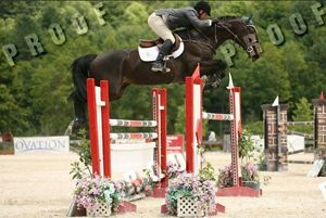 Wayne RV (Karandasj x Emilion) jumping on Grand Prix level with rider Jimmy Torano.