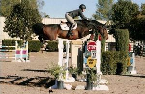 Washington (Wreaker RV, Heartbreaker x Indorado) jumping Grand Prix with amazon Allison Kroff.