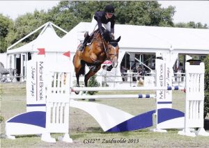 Cottica II RV (Verdi x Wolfgang) jumping International CSI ** 1.40m with rider Gerco Schröder and jumping GRAND PRIX CSI***** 1.60m with rider Alberto Michan (Mexico).
