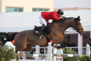 Sanne RV (Cavalier x Emilion) Grand Prix jumping horse with the German rider Hans dieter Dreher.