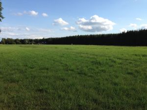Weiland (totaal ongeveer 15 ha.)