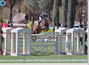 Champion de Quidam RV (Quidam de revel x Emilion) jumping International CSI*** 1.45m with amazon Maureen Bonder.