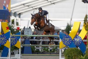 De Flipper RV (Flipper 'd elle x Emilion) 7th of the world in the finals of the World Championships 7 years old jumping horses with amazon Petronella Andersson in Lanaken. De Flipper RV is jumping 1.45m classes.