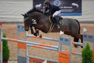 Goodlord Carthago RV (Mylord Carthago x Cash) jumping international 1.45m classes with amazon Monika Nierderlander.