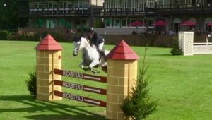 Don Calvaro RV (Spartacus x Quantum) jumping international 1.60m classes.
